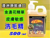 ✪四寶的店n✪附發票~天然草本PLUSH PUPPY－金盞花精華敏感皮膚洗毛液 犬專用沐浴精500ml/瓶