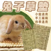 台灣出貨 草墊 兔子草墊 小寵睡墊 兔子墊子 兔子墊 牧草墊 兔子睡墊 兔子用品 兔子地墊 兔子腳墊 兔子腳踏墊