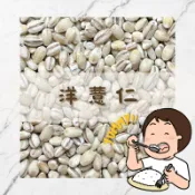 ★Yummy!! 洋薏仁｜大麥仁｜小薏仁｜甜湯｜五穀飯｜十穀飯｜五穀雜糧