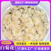 【可開發票】批發白菊花七月菊500g 花草茶泡水散裝 另有金絲皇菊胎菊花大貨
