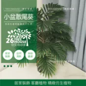😇小盆散尾葵😇清爽小盆栽 綠植 假樹 大型植物 仿真植物 散尾葵裝飾 龜背葉 假植物 裝飾植物 旅人蕉 超擬真植物