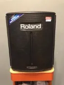 Roland BA 330 音箱 + CB BA330 攜行袋 | 合售免運費 | 台灣樂蘭公司貨