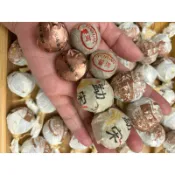 完整茶的葉迷你陀、古樹、喬木龍珠。古樹宮廷迷你陀 普洱茶 熟茶