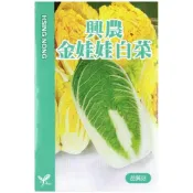 (店+)【天橙種子】金娃娃白菜種子 結球白菜 約2公克 春秋播種 日本進口 葉菜類種子 興農種苗 家庭園藝 彩色原包裝