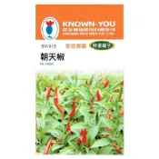 (店+)【天橙種子】朝天椒種子  SV-015  約40粒 辣椒 特選種子 果菜類 農友種苗 彩色原包裝