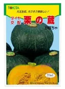 【野菜部屋~】K69 北海道栗之藏南瓜種子28顆 栗子南瓜 早生品種 蔬菜種子 栗南瓜 ~