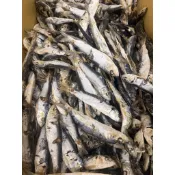 【旬の味】澎湖特有 鰛扁魚乾/四破魚乾/沙丁魚乾