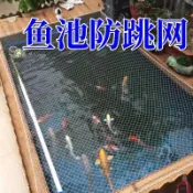 🚛🚛帆布池防逃網防貓抓魚防落葉魚池防跳網錦鯉帆布池防跳網魚池防跳