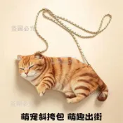 免運🚀貓咪斜背包 仿真玩偶小橘貓斜背包 可愛動物側背包 軟萌貓咪包包 少女心玩偶包 慵懶風側背包 貓咪造型包 隨身單肩側