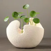 ku3ichih✨【陶瓷花盆】歐式多肉水培器皿 異形創意花瓶 綠蘿銅錢草碗蓮盆栽 大花盆透氣陶盆 居家園藝大容量 室內陽