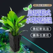 [[一心🇹🇼水族]]【水草定植杯】魚菜共生 生態魚缸水培藍 水耕 水培 無土栽培 水族 植物固根器 水耕植物 水培固定器