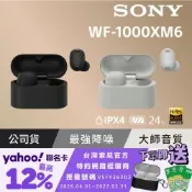 【Sony索尼】WF-1000XM6 旗艦真無線藍牙耳機 (公司貨 保固12+6個月)-黑色