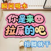 桃園出貨🚚搞笑硅藻泥浴室地墊衛生間門口吸水墊速幹防滑厠所淋浴間衛浴墊子 PBEI