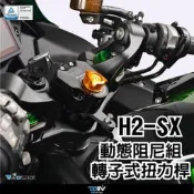 【KIRI】 Dimotiv Kawasaki H2SX H2-SX 轉子式 防甩頭 DMV