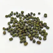 台灣品種 毛綠豆 1斤(600g) 綠豆 粉綠豆 煮綠豆湯