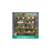 (店+)臺灣熱銷 免運落地陽臺掛式花盆架鐵藝置物架室外多肉 花架 三層花架 不鏽鋼花架 木頭花架 多層階梯 陽臺置物架 置物架