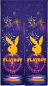 【正版】PLAYBOY 摩天輪 長門簾