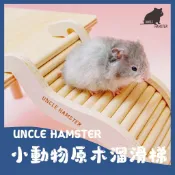 《大寶寶B&B》勞叔小動物原木溜滑梯 大面寬爬梯 倉鼠爬梯 造景爬梯 黃金鼠 老公公鼠 溜滑梯 倉鼠 倉鼠傢俱 科養傢俱