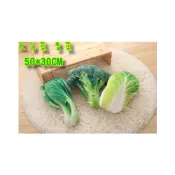 (店+)🥦花椰菜 婚禮捧花 大白菜 交換禮物 生日禮物 婚禮捧花 青菜 仿真蔬菜抱枕 創意禮物 HL21
