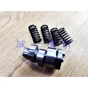 誠一機研 TTMRC 宏佳騰 STR 300 偉士牌 GTS 300 高角度凸輪軸 高凸 AEON VESPA 改裝