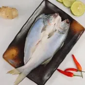 【顧三頓】台灣午仔魚一夜干XL號(5尾_260-300g/尾)