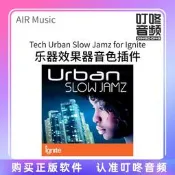 〈💥耳機配件〉AIR Music Tech Urban Slow Jamz for Ignite樂器效果器音色插件