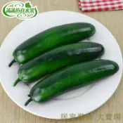 滿299出貨 假水果模型 假水果 仿真水果 假蔬果 假蔬菜 塑料假黃瓜仿真蔬菜水果果蔬模型食物櫥柜商場樣板裝飾擺設道具滿