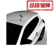 賣萌神器小綠苗🌱小觸角單入汽車防撞 3D車貼找車神器 立體車貼 車頂裝飾品 3D發泡小樹苗🚕