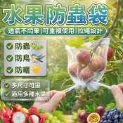 隔日達🌿清倉 防蟲袋 水果套袋 防鳥 防蟲 透氣 防蟲網 專用網袋 葡萄 無花果 枇杷 草莓 楊桃 保護袋子WX