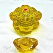 富貴咬錢金蟾蜍  含開光 招財運 招業績 聚財 開運 咬錢