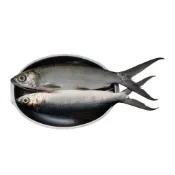 (店+)虱目魚魚嶺 600g包 薄鹽