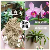 (店+)【蔬菜之家】智利水苔水草、5A水苔-1公升、2公升、3公升、75公克、150公克4種包裝可選  蘭花 鹿角蕨
