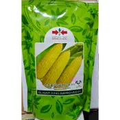 【野菜部屋~】N03 大金蜜2號超甜玉米種子4公克(約30粒) 泰國公司第一名品種 甜度高~
