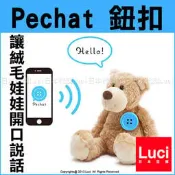 藍色 Pechat 秘密 鈕扣玩具 鈕扣型 安啾 秘密的 小熊款 讓絨毛娃娃開口說話 可對應英文  LUCI日本代購