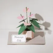 【墊腳石】知音Jean  紙植栽雷射材料包- 火鶴花