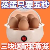 德國特價蒸蛋器自動斷電煮蛋器家小型早餐神器多功能蒸蛋羹宿舍