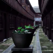 風水擺件 景德鎮陶瓷魚缸 荷花缸 睡蓮缸 大號水缸 庭院客廳大缸養錦鯉缸烏龜缸