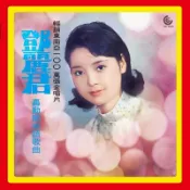合友唱片 鄧麗君 轟動閩南語歌曲 LP 黑膠唱片 望春風 賣肉粽 天黑黑 