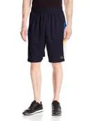 Champion【L 36腰~38腰】籃球褲 運動短褲 大尺碼  網眼透氣 美國購入 保證正品 全新現貨
