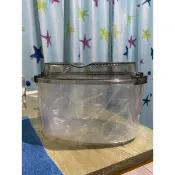【LDD蟲屋】貝殼箱 甲蟲飼養箱 防蟲飼養箱