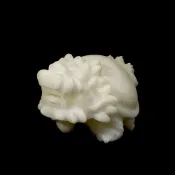 龍宮白金剛舍利金錢龍龜_O-CC-F0013