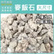 麥飯石 大尺寸  可改良土壤 淨化水質 多肉介質 植物介質 園藝造景 水草水族缸造景 造景石頭【四季綠園】