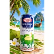 泰國 TEPTIP (大瓶252 1BB) 泰國椰子水 500ml 果粒椰子水 椰果 椰子水 YOUNG COCONUT