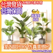 🌸民雄發貨免運費🌸仿真植物花卉綠植盆栽龜背葉 龜背竹天堂鳥旅人蕉 散尾葵 室內裝飾盆景