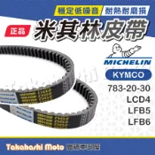 【米其林大廠】 雷霆 G6 雷霆150 G6150 雷霆125 G6125 皮帶 傳動皮帶 原廠副廠 LFB5 LFB6