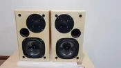 [中壢個人自售] USHER 雅瑟 S-520 鋼琴白 S520 R-51M DIAMOND 9.1 古力奇 可參考