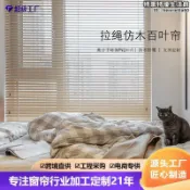 滿屋妍選 新品上市!!熱門爆品！！【可開發票】掬水簾拉繩仿木百葉簾書房臥室客廳臥室遮陽防水防汙百葉窗簾