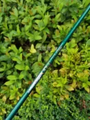 宜家二居 Solid edge 65 綠色 一號木桿身 45英寸 R 級 66克