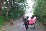 【Klook客路】鎌倉人力三輪車體驗 最長3小時 私人導覽 免費取消 立即確認 