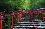 【Lion Travel 雄獅旅遊】大阪特惠｜日本環球影城瑪利歐.奈良東大寺.嵐山屋形船.清水寺.安藤忠雄設計~本福寺水御堂.三千院.貴船神社七日｜高雄來回 出發地點：高雄